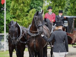 2015 LF Hestedag